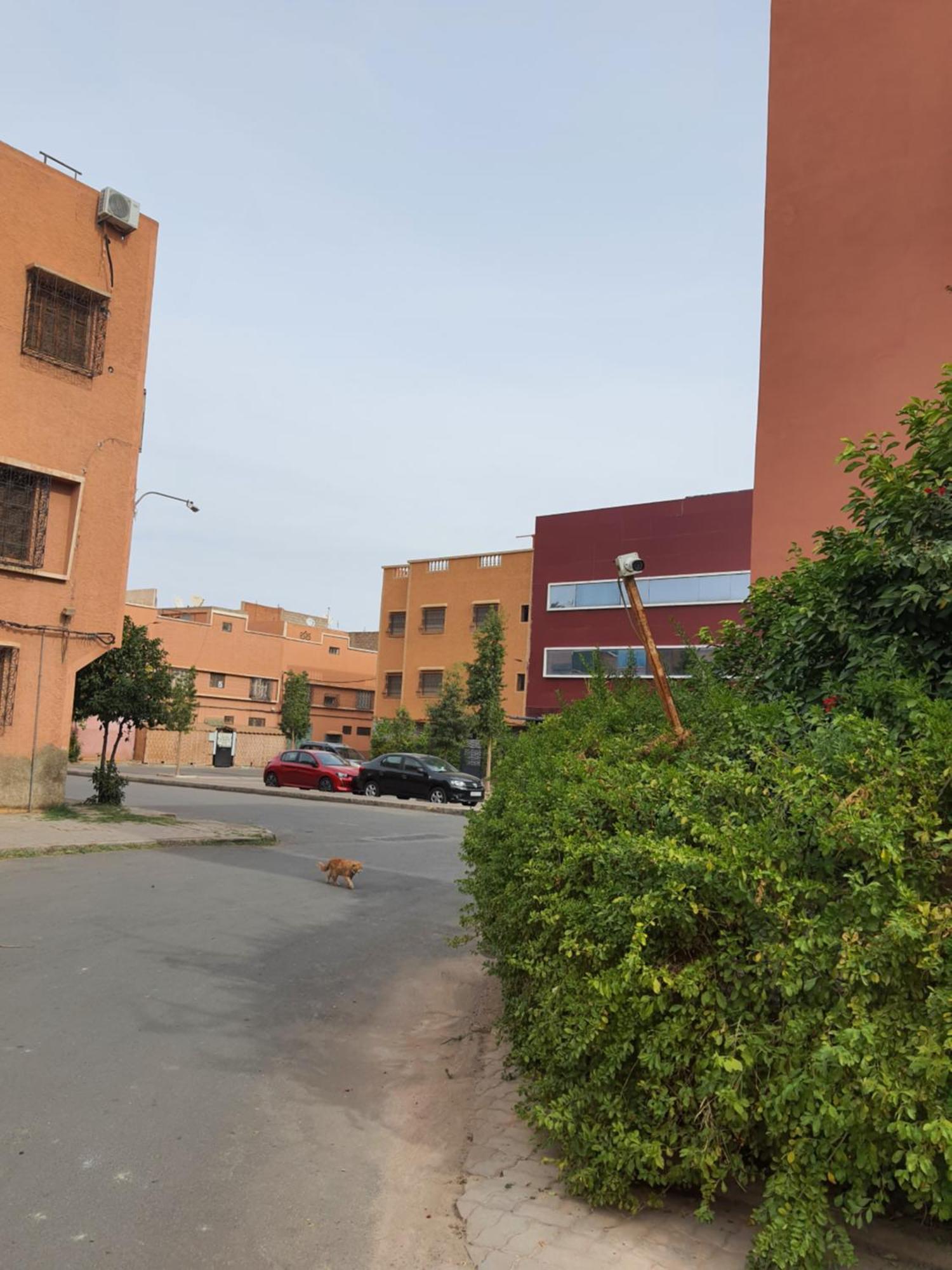 Apartament Marrakech Marrakesz Zewnętrze zdjęcie