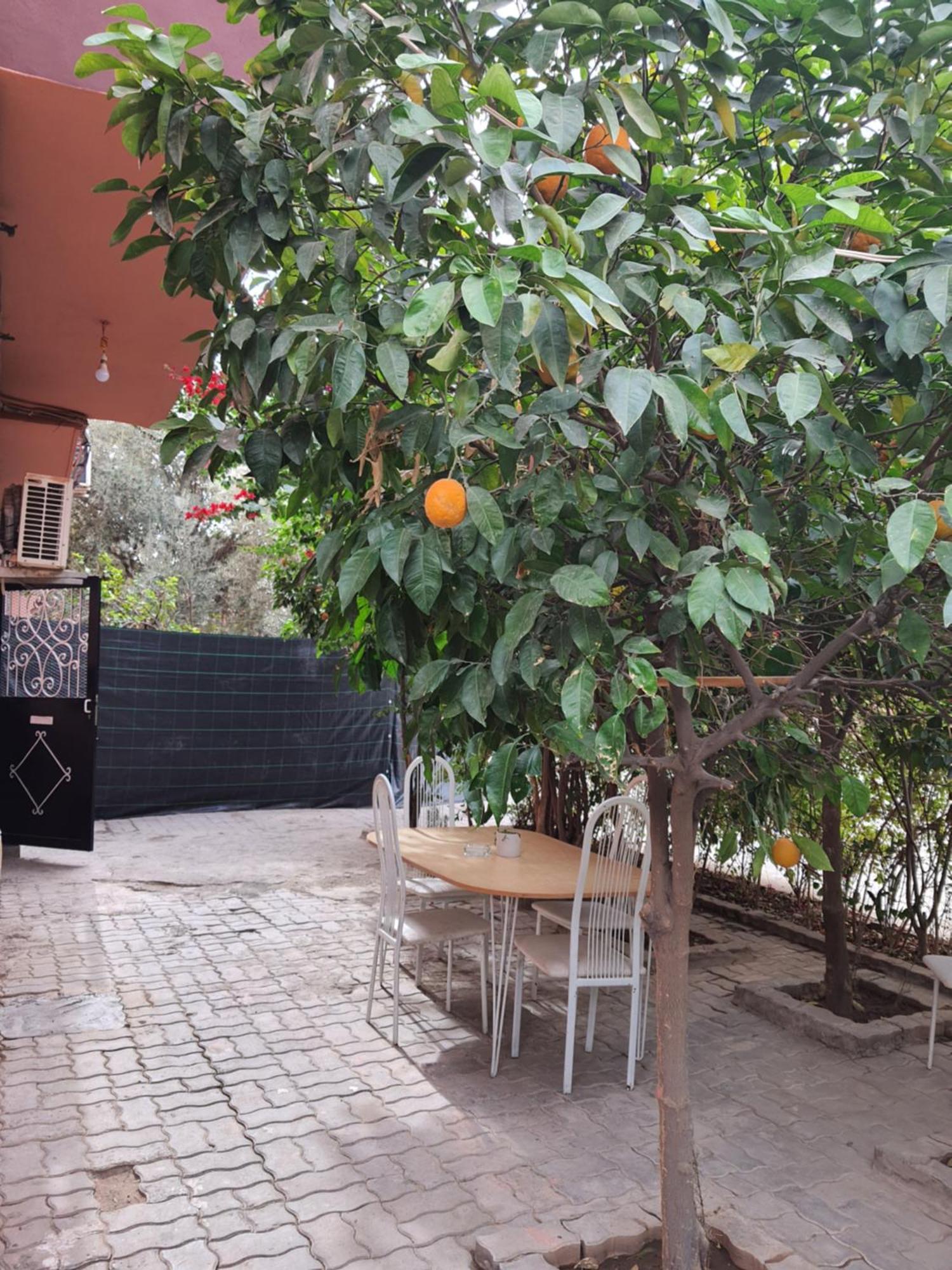 Apartament Marrakech Marrakesz Zewnętrze zdjęcie